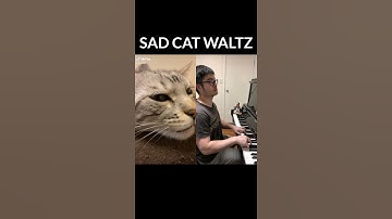 Piano Duet with a Cat singing a Sad Waltz