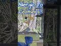 SQUIRREL SNEEZING 😭🐿️🌼Ginger Is Allergic?!