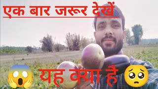 Desi Vlog Sd Vlogs S Vlogs