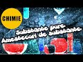 CHIMIE Clasa 7 - EP.2 - SUBSTANTE  PURE. AMESTECURI DE SUBSTANTE ft. Rares Ion - #StiintaAltfel