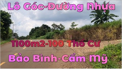 Bán Đất Đồng Nai - Lô Gốc 2 Mt Đường Nhựa 1100m2 Có 100 Thổ Cư - Có Vườn Sầu Riêng - Bảo Bình Cẩm Mỹ