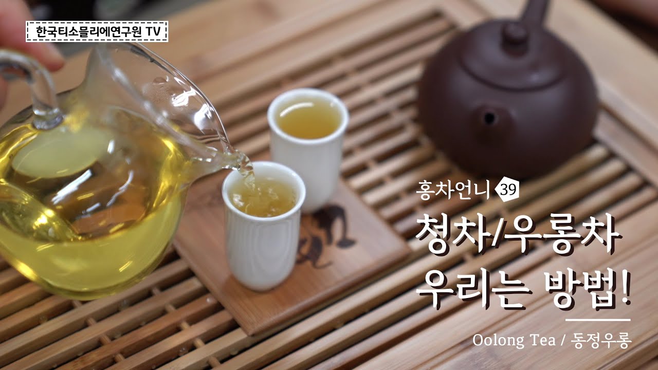 청차(靑茶,우롱차) 우리는 방법 feat.동정우롱/ How to brew Oolong tea/ウーロン茶を淹れる方法 #홍차언니 #한국티소믈리에연구원TV