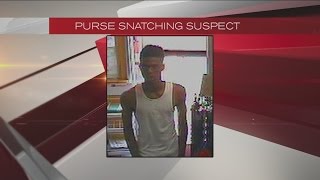Police look for purse snatcher