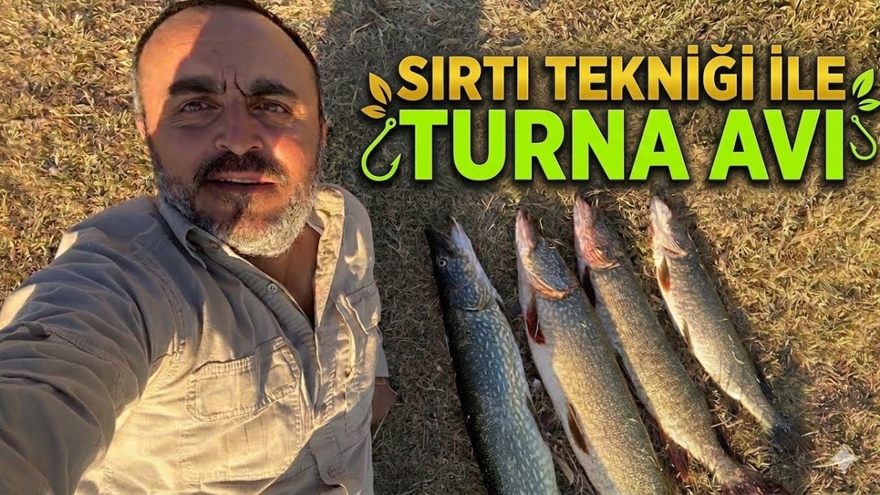 SIRTI İLE TURNA AVI