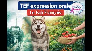 Tef Expression Orale | Speaking | Student Practice