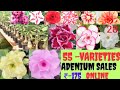 ADENIUM SALES " AG " 8547300884