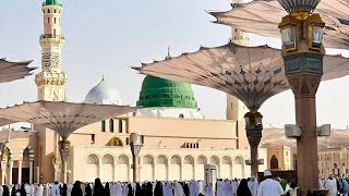 SAYYIDA FADIMA @Makkah_official_KN  @MaherZain  @SARAUNIYATV@barhamagombetv34 screenshot 4