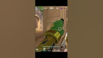 1v5 ace when enemy team was trash talking