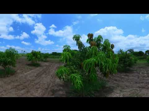 [360°] Complejo Estero Jaltepeque, sector Santiago Nonualco