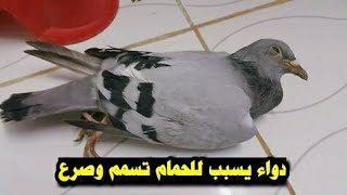 دواء| جرعه زياده بتعمل تسمم وصرع للحمام اعرف الدواء واوعي تغلط الغلطه دي