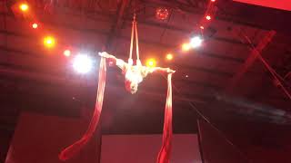Tchaikovsky. The Nutcracker. Christmas aerial doll. Malaysia 2019