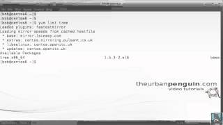 GCSE Computing - Installing and Using tree