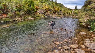 FLY FISHING in REMOTE River [New Zealand]