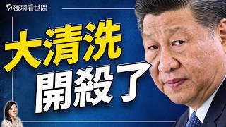 五中全會前風向不對？《從嚴治黨決定》草案與「18項密令」曝光！習近平究竟在防什麼？｜薇羽看世間 20261019