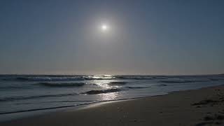 Gentle Ocean Waves on a Quiet Beach — 1 Hour of Calm Sea Sounds for Sleep 🌊