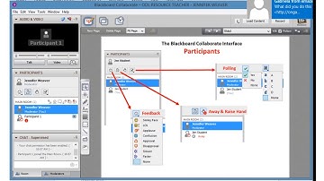 Introduction to Blackboard Collaborate