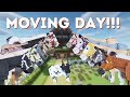 Moving my horses into the new barn minecraft swem rrp