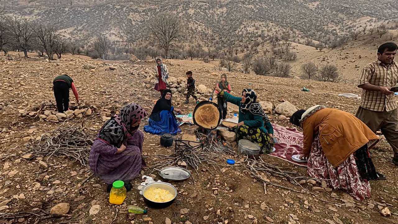 Cultivation Wheat in Rainfed Areas _ Doora Official channel [ 2023 ]