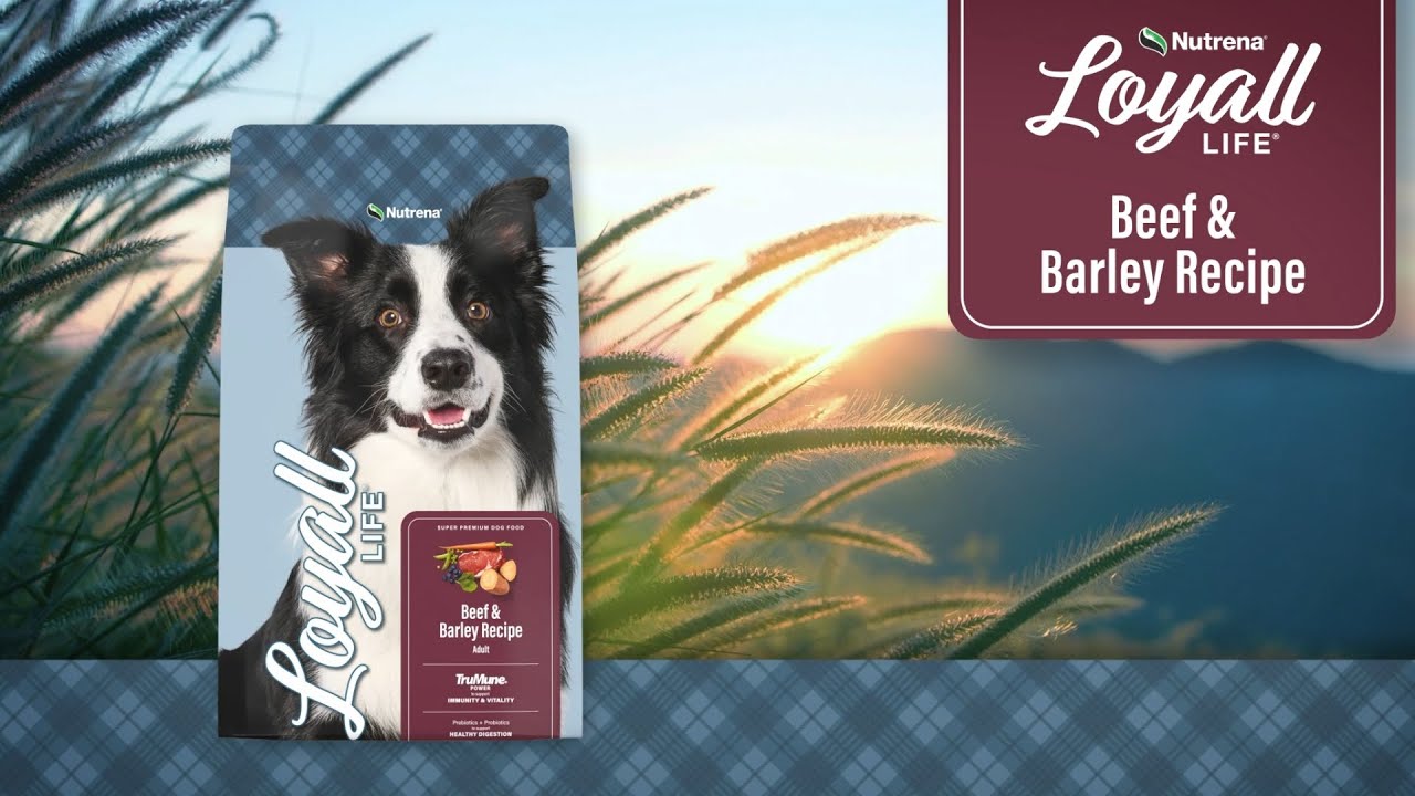 Loyall Life Beef & Barley Recipe