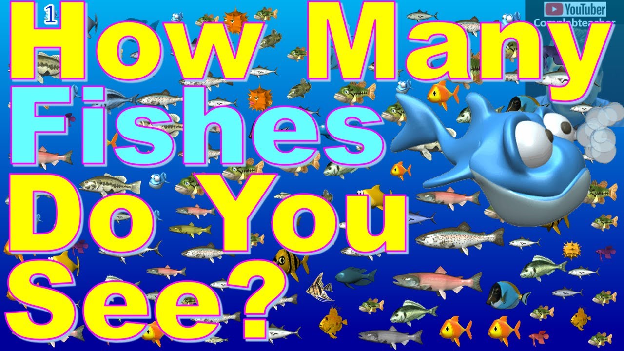 How Many Fish See How Many Fishes Do You See? - YouTube
