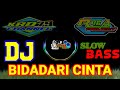 DJ BIDADARI CINTA - Dangdut slow bass | Remix viral Terbaru | KRD79 CHANNEL R46A PROJECT
