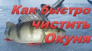 Как быстро почистить окуня. Мой метод на уху. Как быстро почистить окуня. Мой метод на уху.