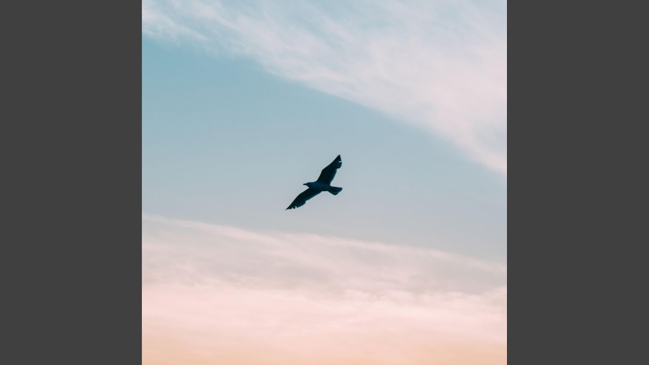 Watch Fly Away on YouTube Watch Fly Away on YouTube