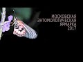 Энтомологическая ярмарка 2017