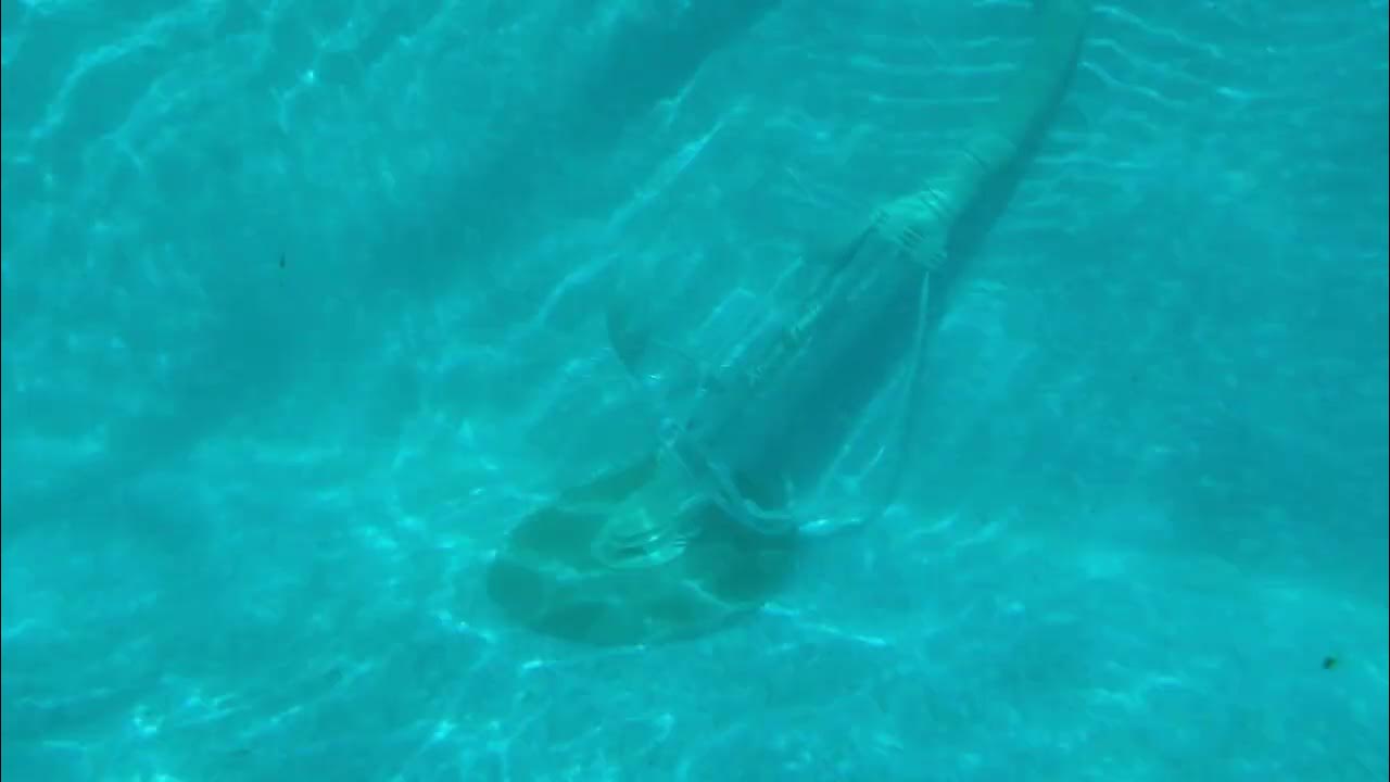 Xtreme Power Pool vacuum in Action YouTube