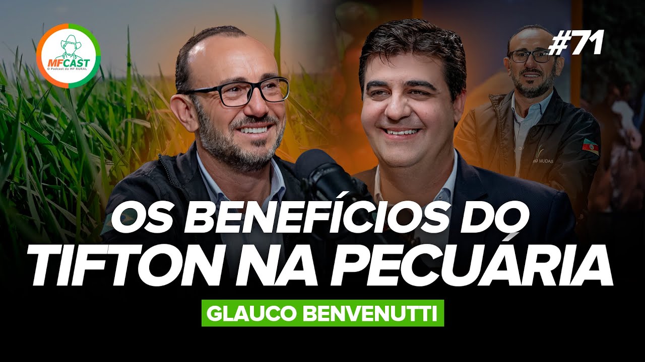 COMO O TIFTON PODE AUMENTAR A PRODUTIVIDADE NA PECUÁRIA (Glauco Benvenutti) - MF Cast 71