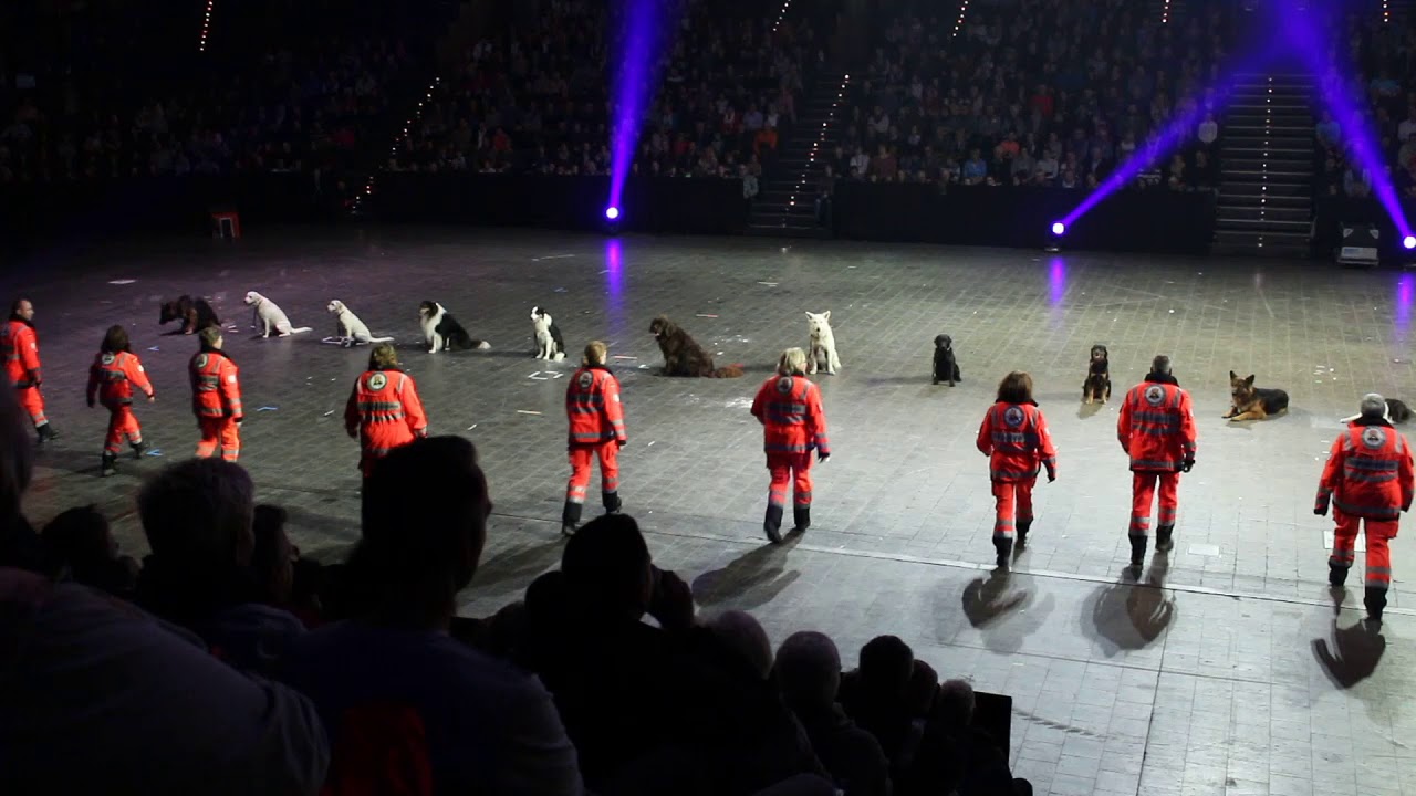 BRH Rettungshundestaffel Holstein Vorführung