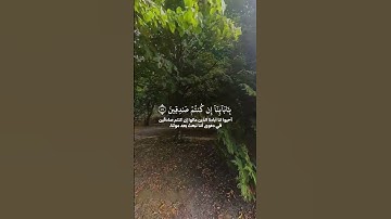 القارئ عاصم اللحیدان#المصحف #دويتو#القزابري#لايك#الرحمن #تيك_توك#اكسبلور#الطحان #راحة_نفسية#البرزخ
