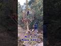 Moon House Making Challenge Day 2 🌙 | Forest Survival Daily Lifestyle Mini Vlog
