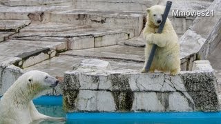 娘の頑張りを横で見ている母