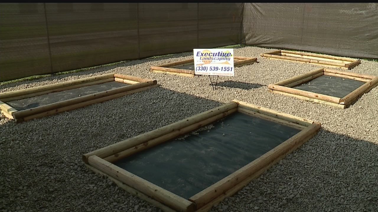 Horizon Science Academy students learn new skills with gardening project