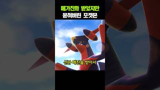 신규 메가진화 받았지만 묻혀버린 포켓몬