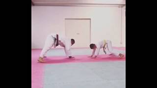 Arti Marziali Work Out Prima Delle Tecniche - By G.a.diurno