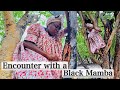 How I Use Traditional Medication in the Village  | Looking For Food In The Forest |