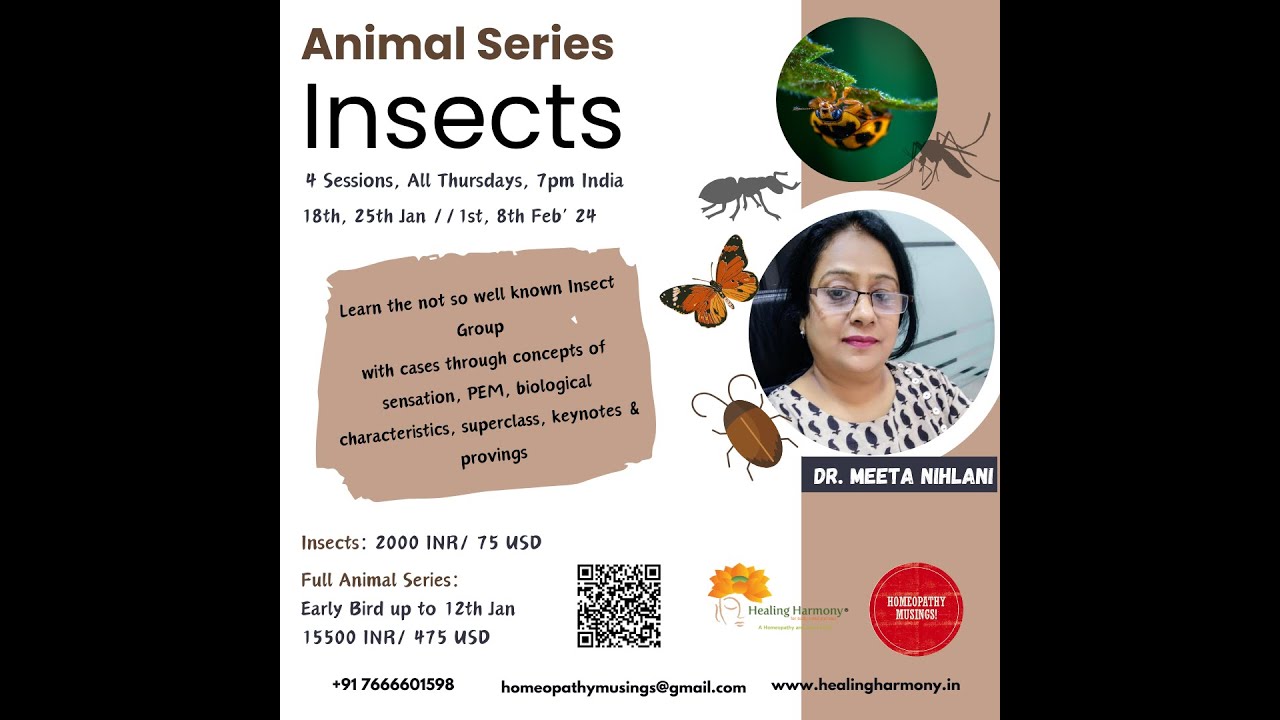 Insect Series Animal Series - Insects - YouTube