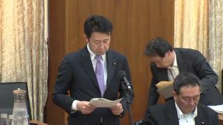 2013/06/07 衆議院 総務委員会 自民党 田中良生の付帯決議案説明