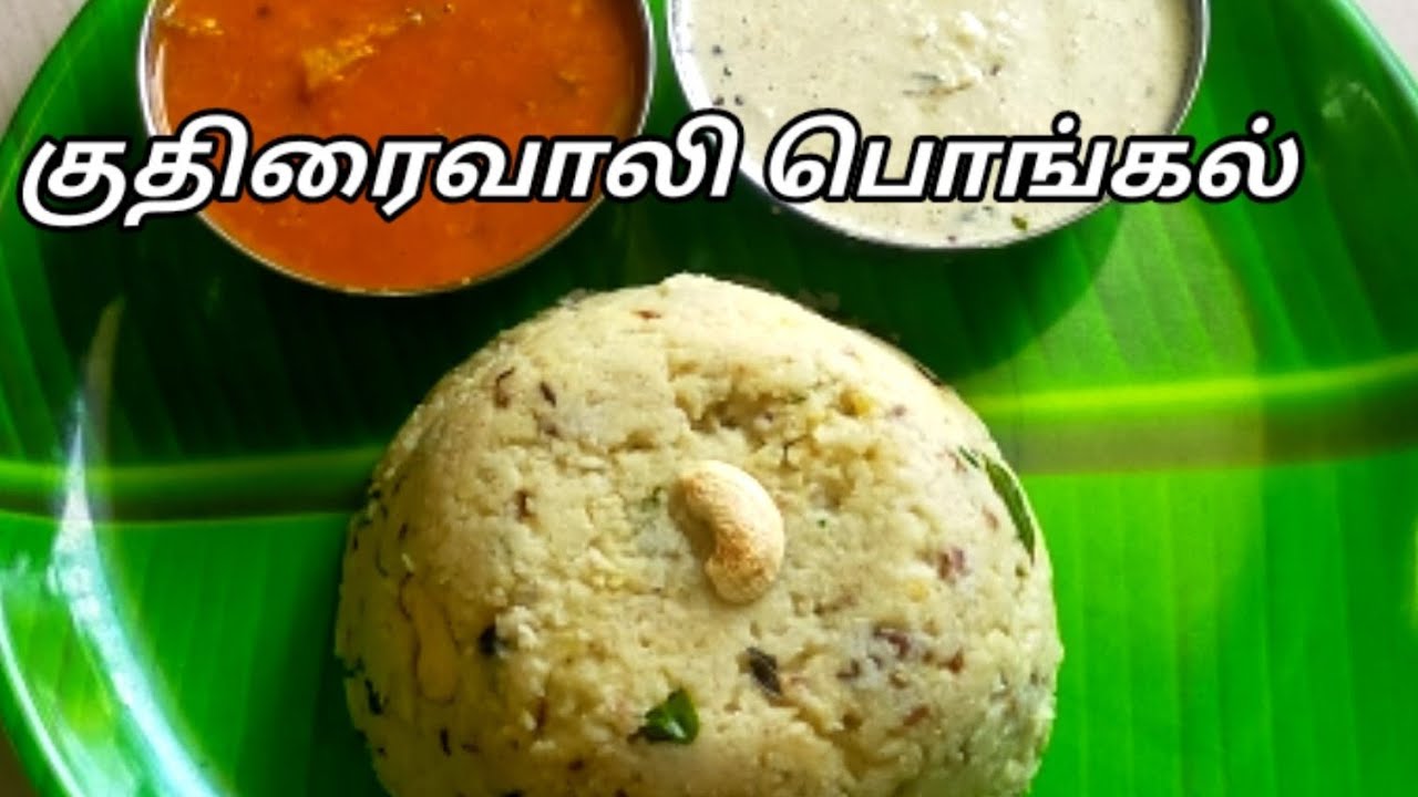 குதிரைவாலி பொங்கல்/Kuthiraivali Pongal/Millet Pongal/