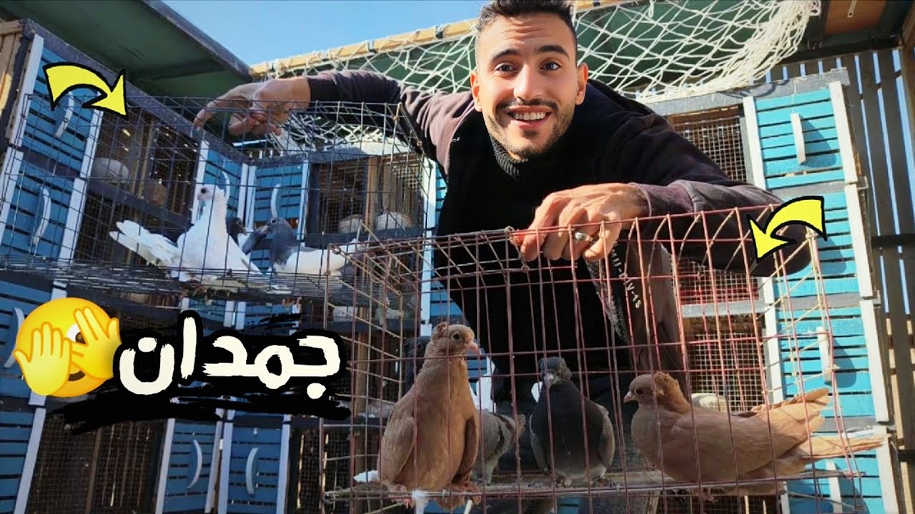 فطمت ونقلت كل الزغاليل في الغيه 🤫 ورصيت الشبابات في العيون (واحداث كتير حصلت)