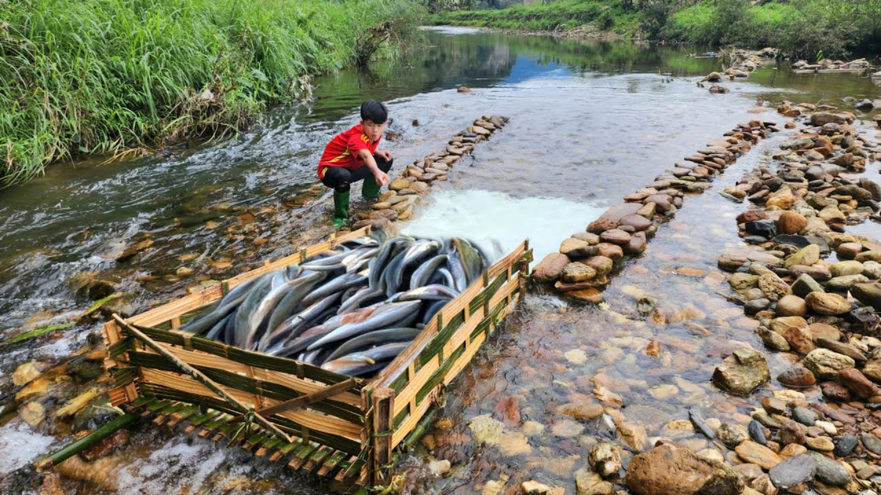 The boy Lam wove bamboo to make fish traps in the stream, and caught a ...
