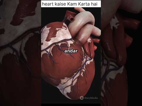 Heart Kaise Kam Karta Hai Heart Function Shorts Trending 