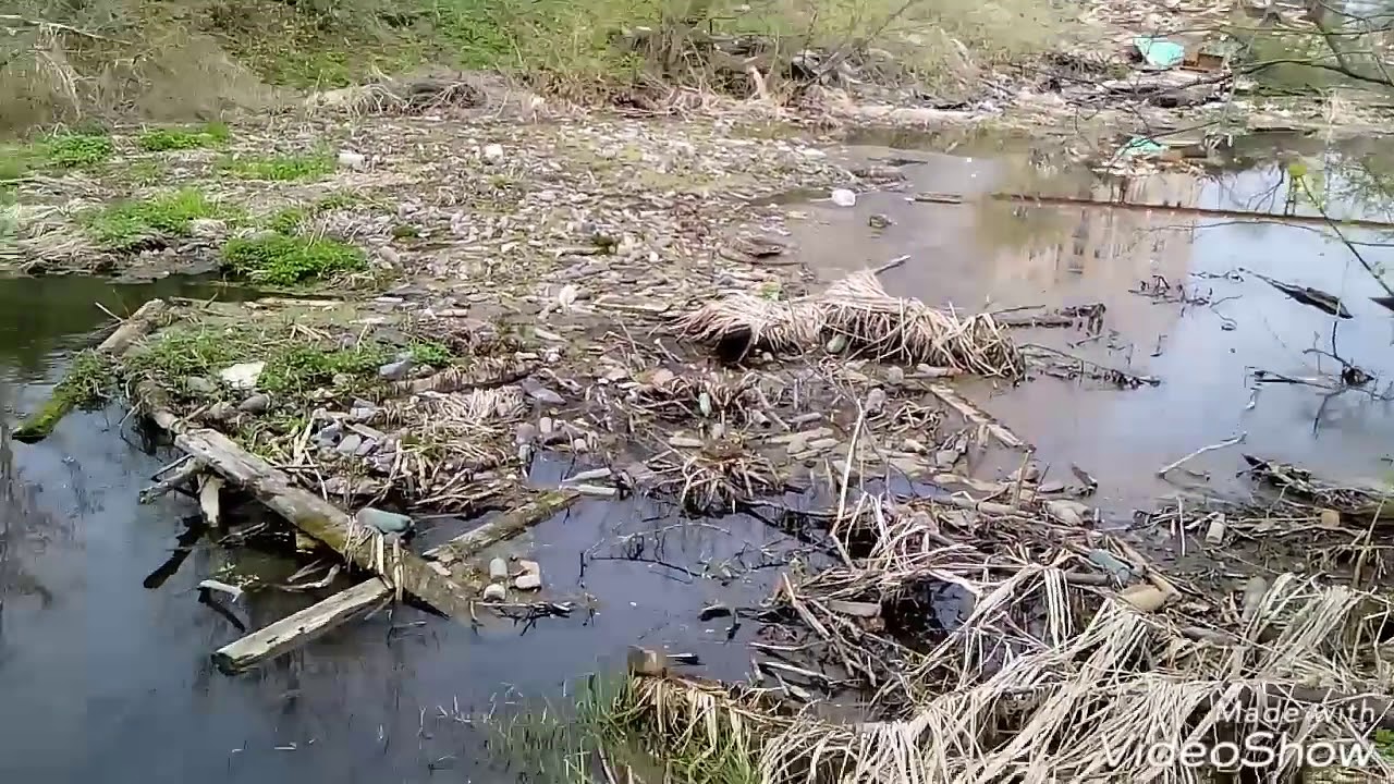 Подъем воды в клязьме на сегодня. Река Клязьма грязная. Загрязнение реки Клязьма. Загрязненная река Клязьма в Щелково. Загрязнение реки Клязьма в Королеве.