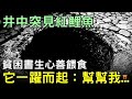 井中突見紅鯉魚，貧困書生心善餵魚，它一躍而起道：幫幫我...#鄉村民間故事 #楓牛愛世界