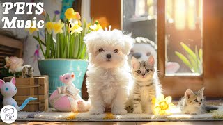 Soothing Lullabies for Cats and Dogs - Relaxing Music to Soothe and Comfort Pets and Help Calm by Peaceful Pet Piano 514 views 12 days ago 3 hours, 1 minute