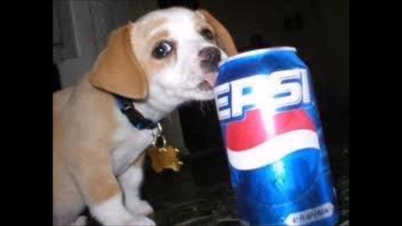 SimplisticUHC S3E4- Simple Little Melody