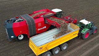 Aardappels rooien | Harvesting potatoes | Kartoffeln ernten | Dewulf Kwatro | Fendt | Veenhuis