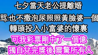 七夕當天老公提離婚，骂：也不撒泡尿照照黃臉婆一個，轉頭投入小富婆的懷裏，可我彩票剛中了一個億，獨自兌完獎後 震驚所有人| #為人處世#生活經驗#情感故事#養老#退休#淺談人生#深夜淺讀